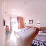 Centar Apartment *